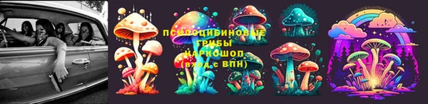 гидра Надым