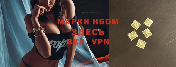 гидра Надым