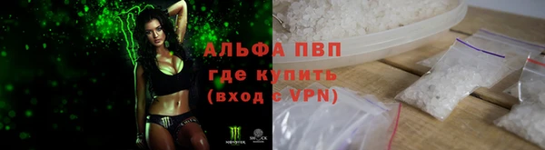 гашик Михайловск