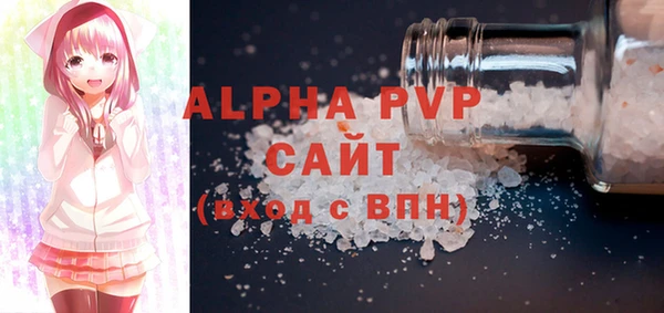 гидра Надым