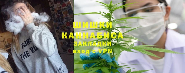гидра Надым
