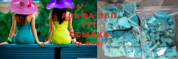 гашик Михайловск